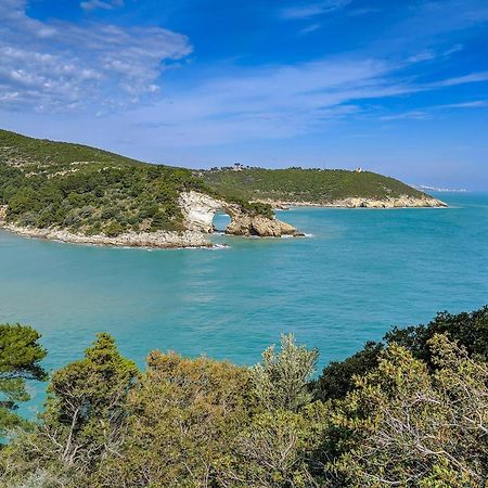 Villa Mapa - Appartamenti Vicino Al Mare Vieste Buitenkant foto