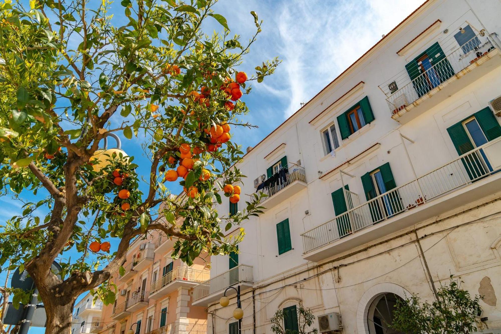 Villa Mapa - Appartamenti Vicino Al Mare Vieste Buitenkant foto
